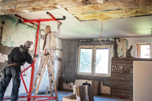 Best Insulation Contractors for Homes  in Sturgeon, PA