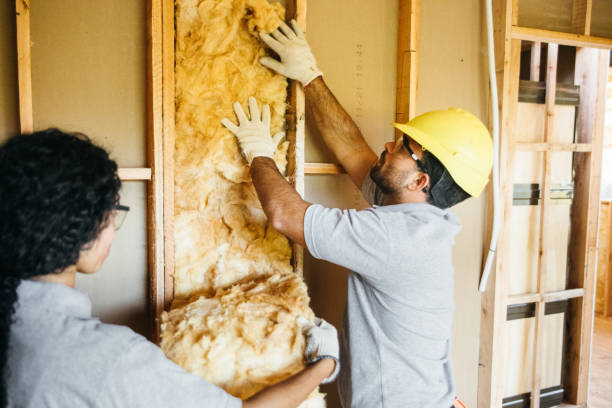Best Garage Insulation Installation  in Sturgeon, PA