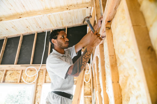 Best Insulation for New Construction  in Sturgeon, PA