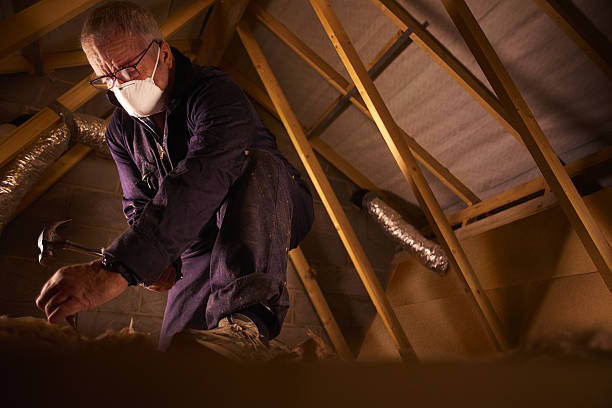 Best Professional Insulation Contractor  in Sturgeon, PA